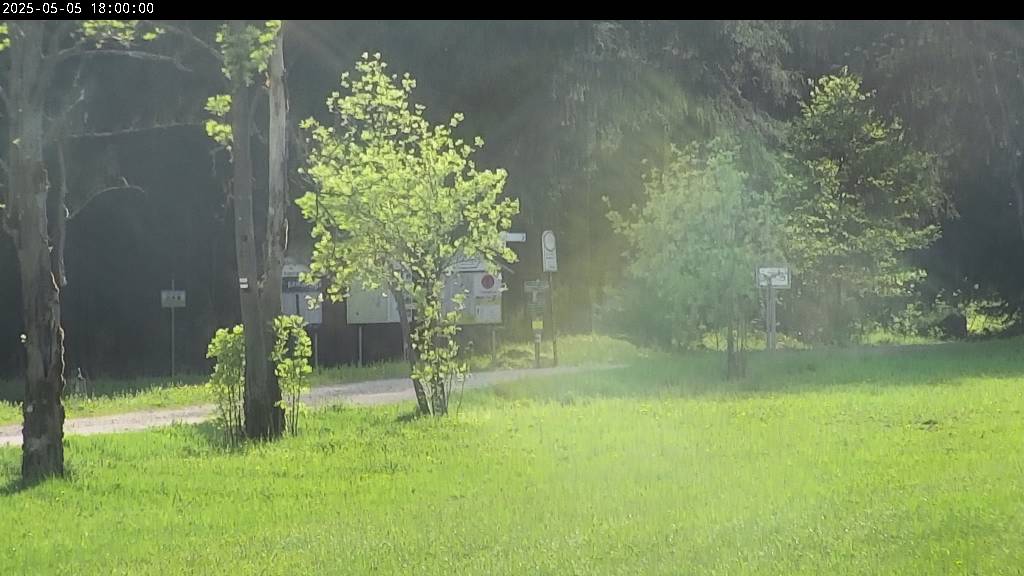 Webcam Johanngeorgenstadt