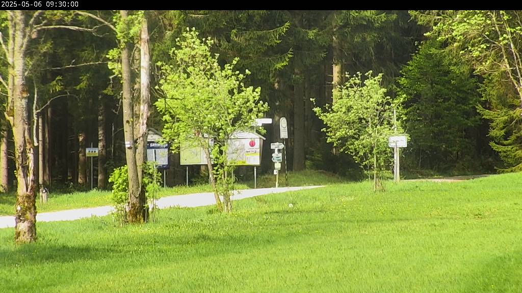 Webcam Johanngeorgenstadt