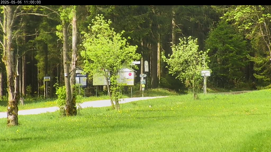 Webcam Johanngeorgenstadt