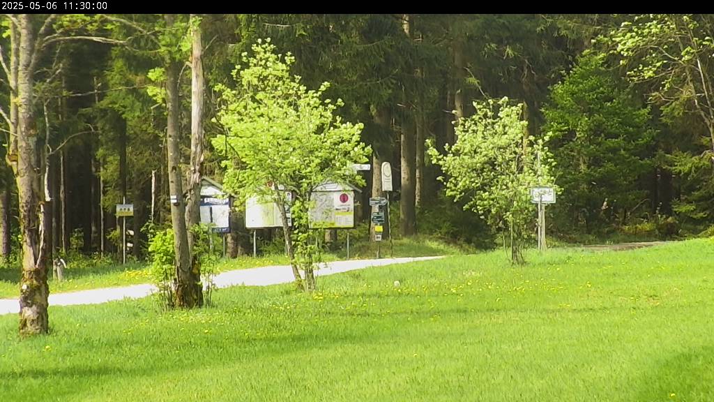 Webcam Johanngeorgenstadt