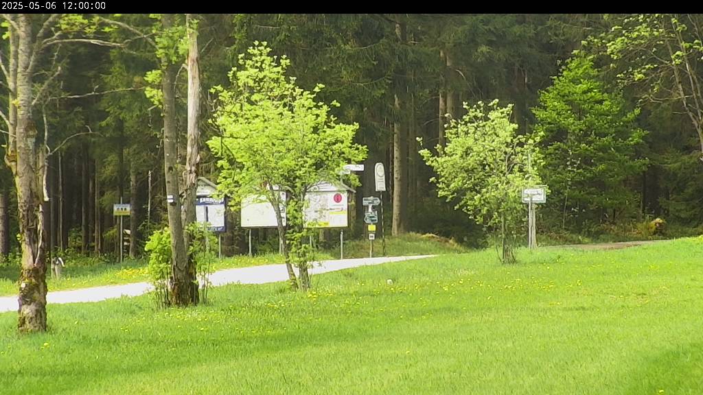 Webcam Johanngeorgenstadt