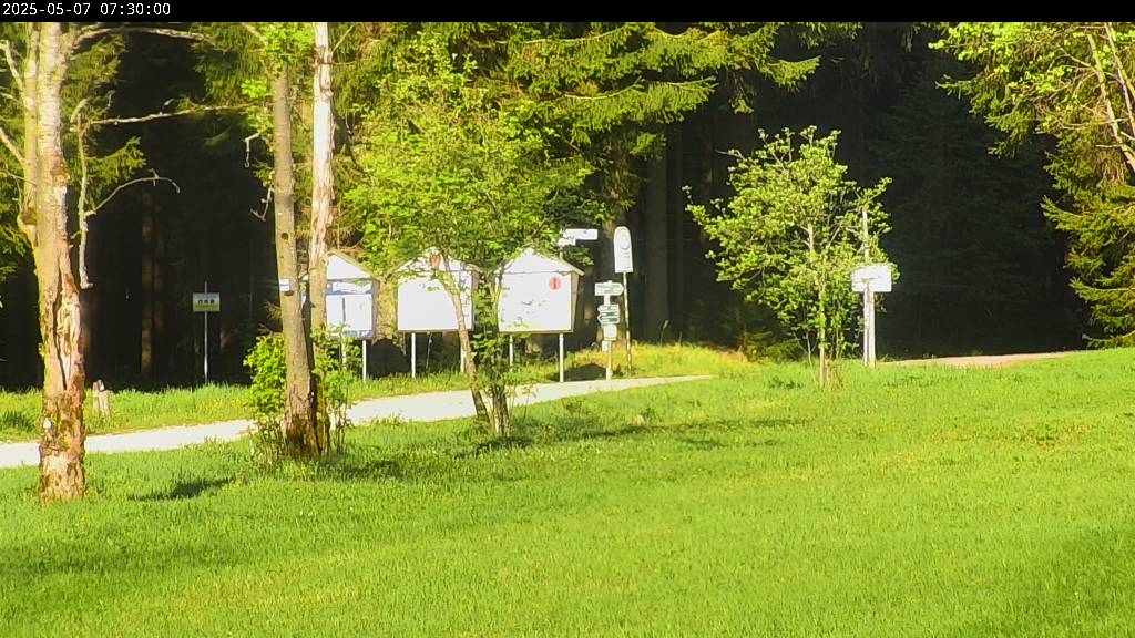 Webcam Johanngeorgenstadt