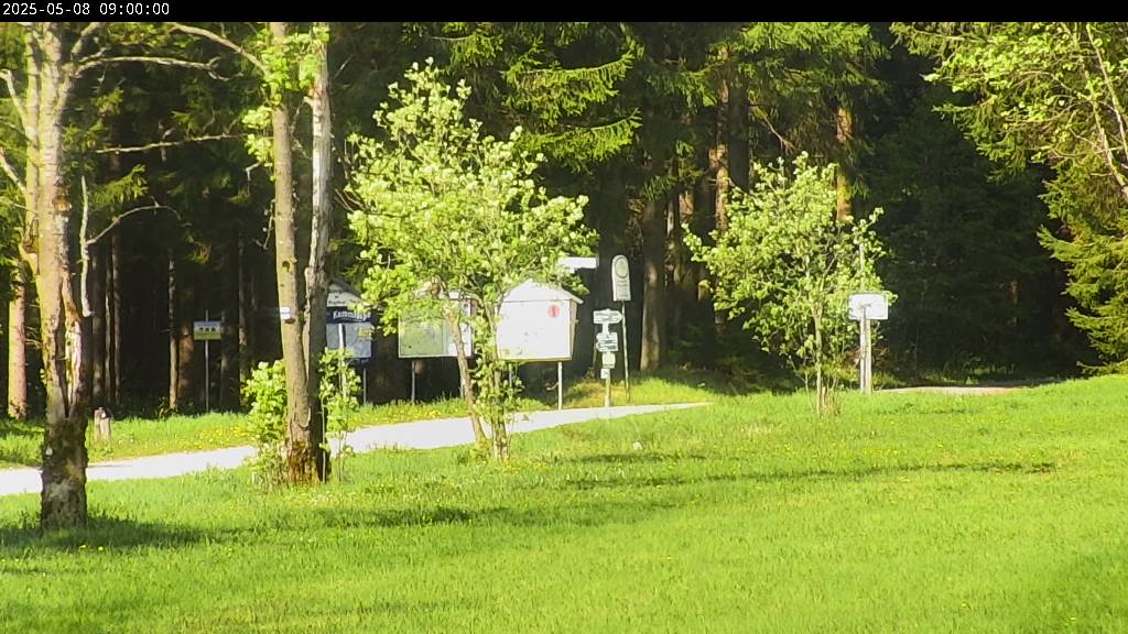 Webcam Johanngeorgenstadt