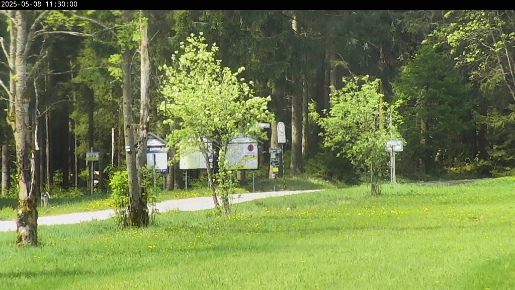 Webcam Johanngeorgenstadt