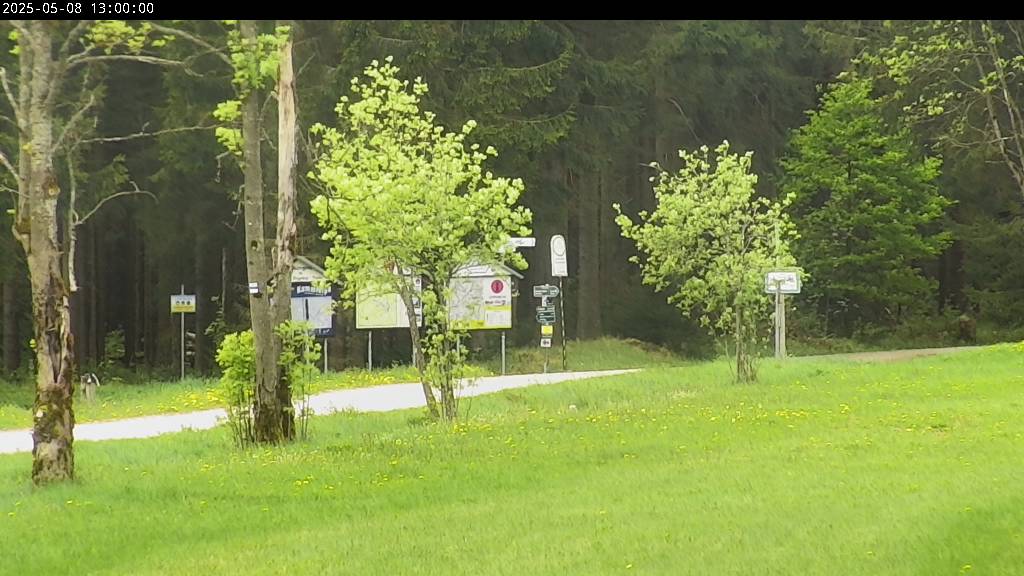 Webcam Johanngeorgenstadt