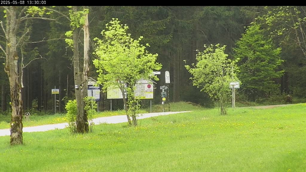 Webcam Johanngeorgenstadt