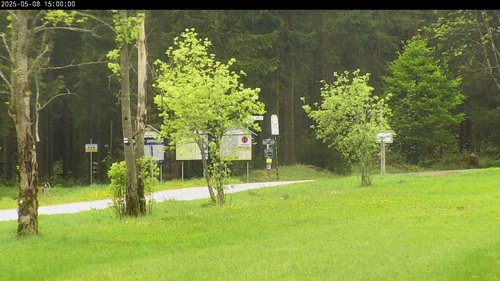 Webcam Johanngeorgenstadt