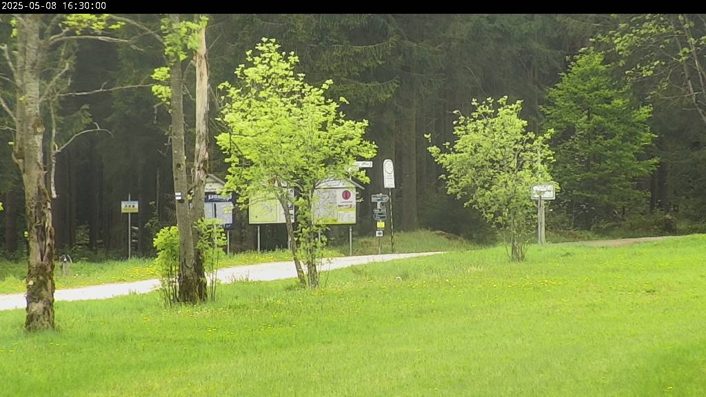 Webcam Johanngeorgenstadt
