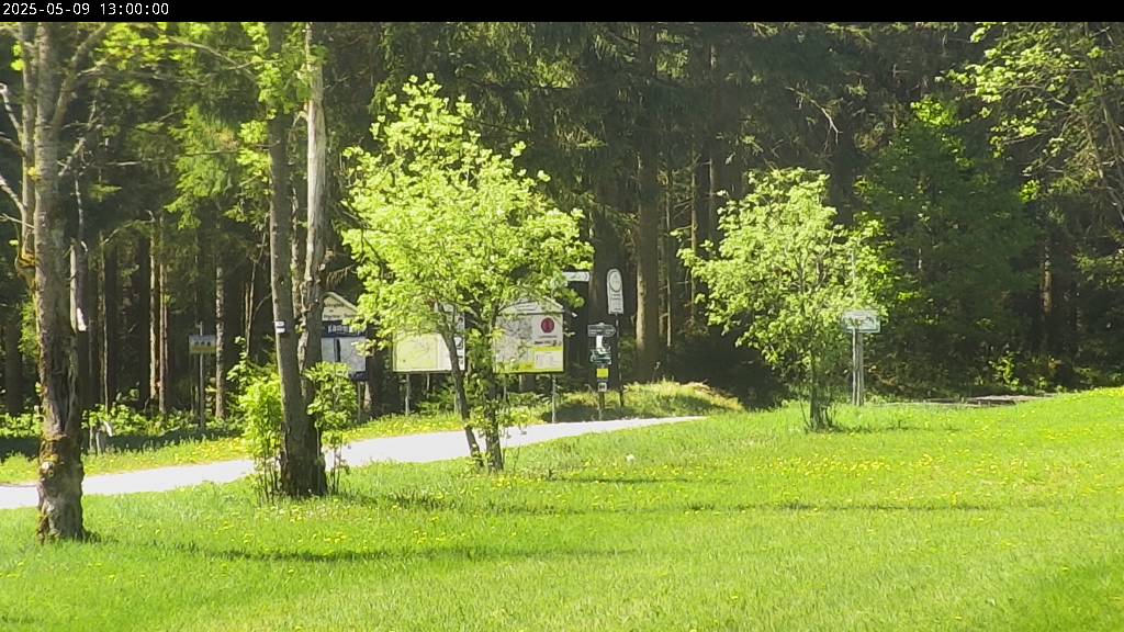 Webcam Johanngeorgenstadt