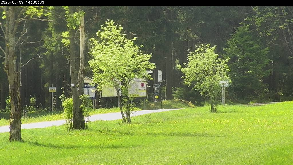 Webcam Johanngeorgenstadt