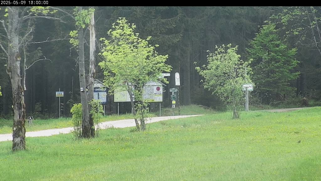 Webcam Johanngeorgenstadt