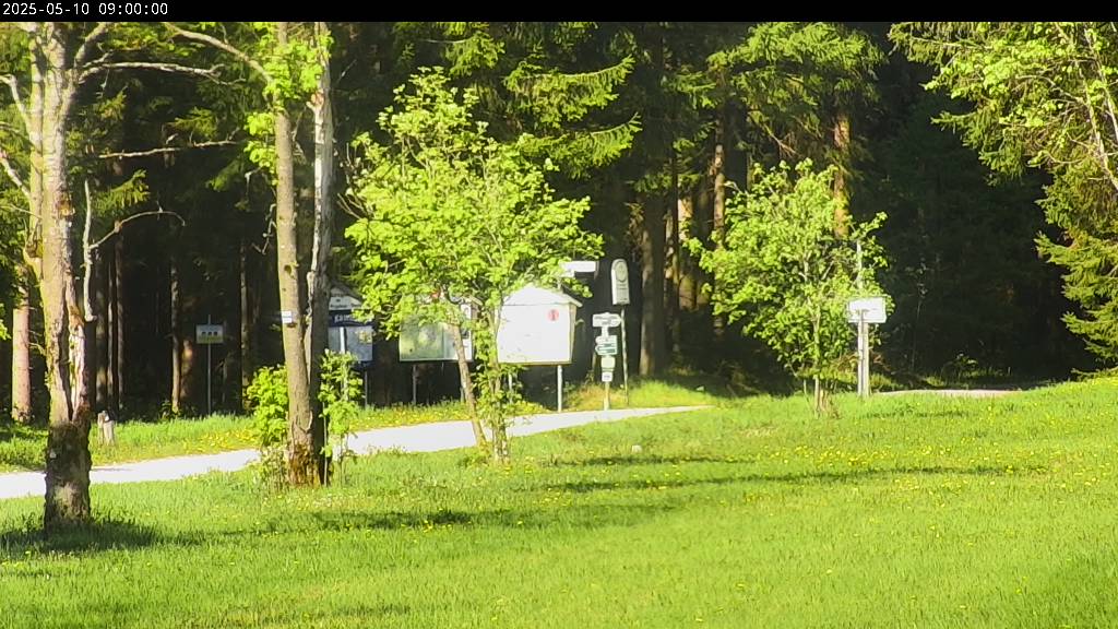 Webcam Johanngeorgenstadt