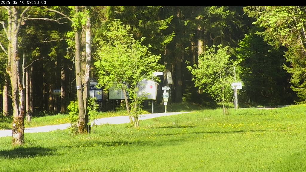Webcam Johanngeorgenstadt