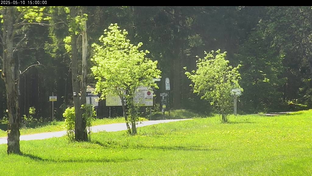 Webcam Johanngeorgenstadt