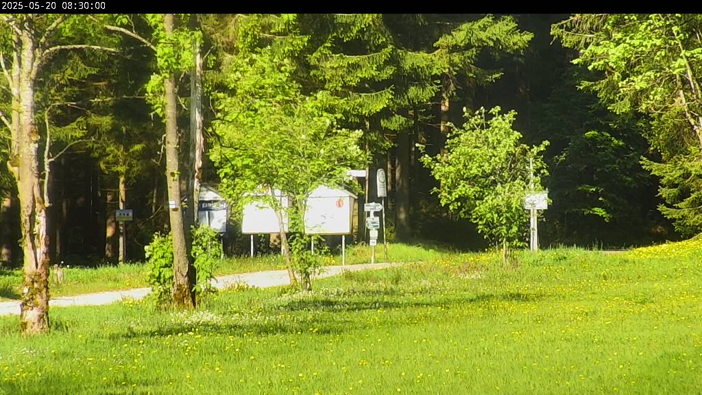 Webcam Johanngeorgenstadt