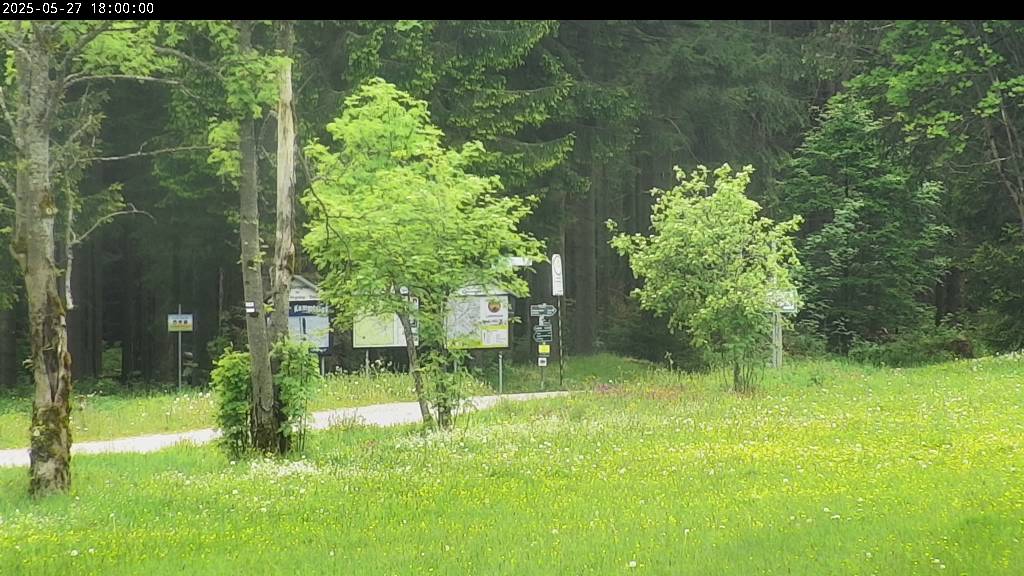 Webcam Johanngeorgenstadt