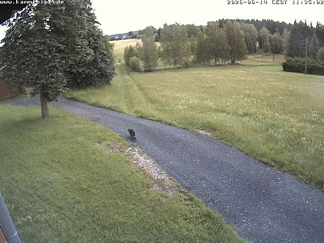 Webcam Hammerbrücke