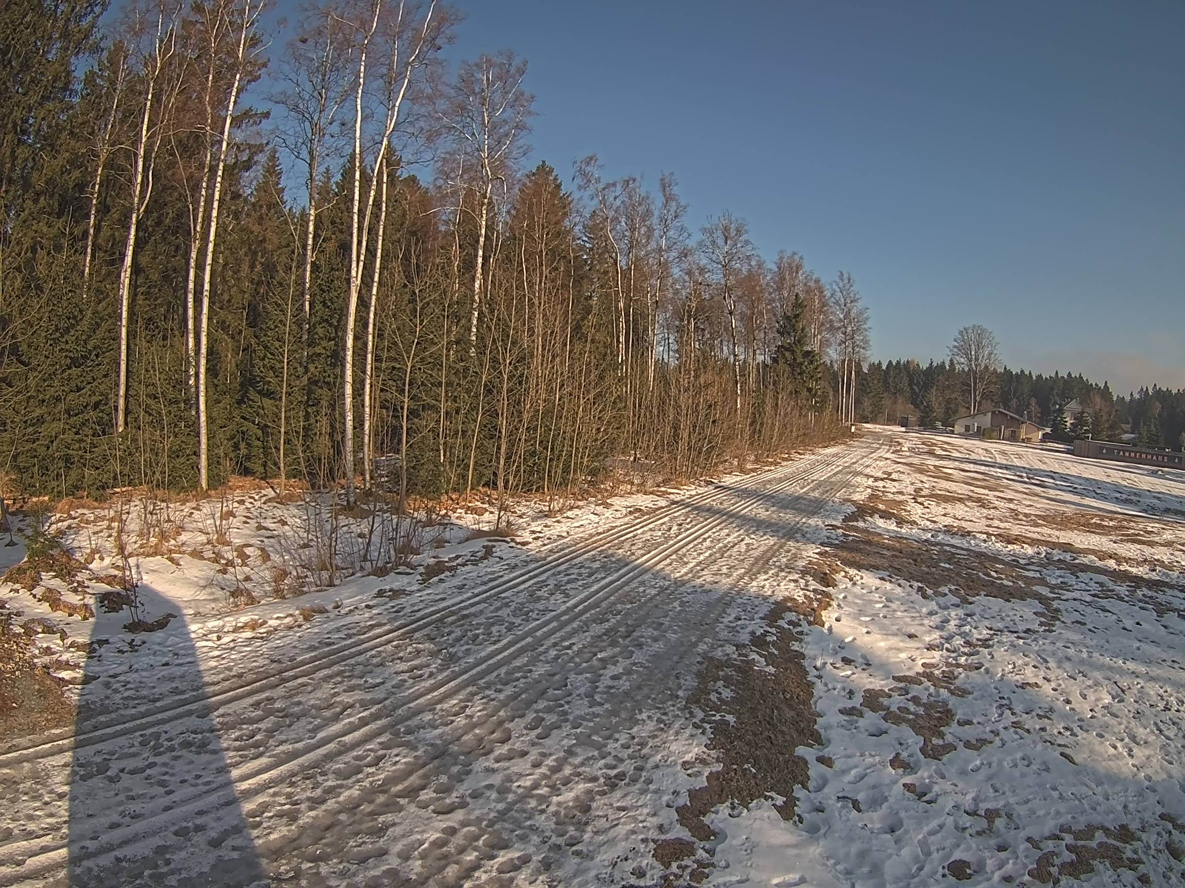 Webcam Schöneck Bogen