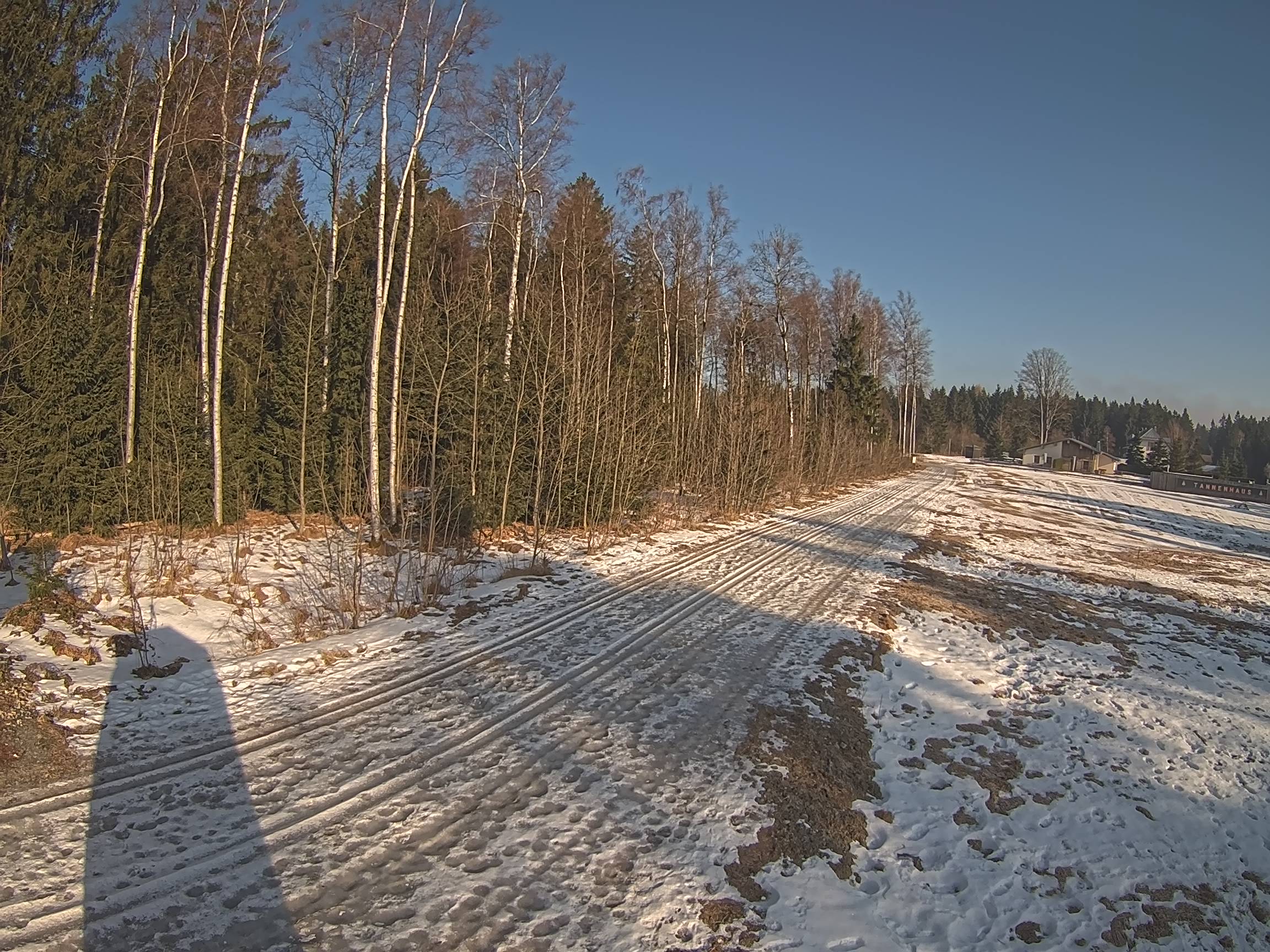 Webcam Schöneck Bogen