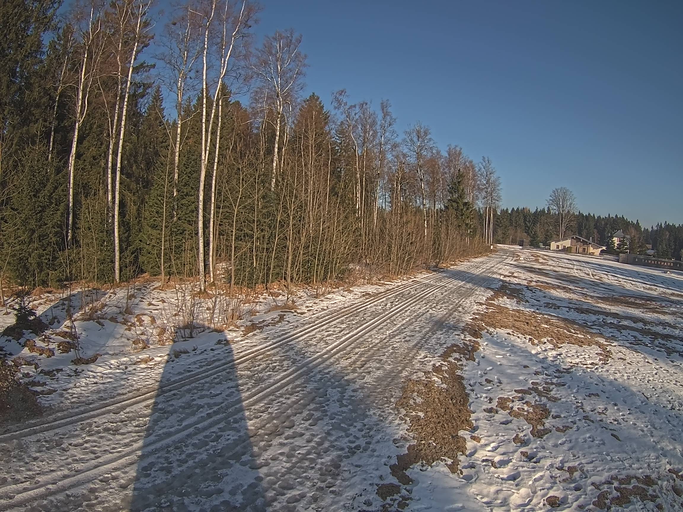 Webcam Schöneck Bogen