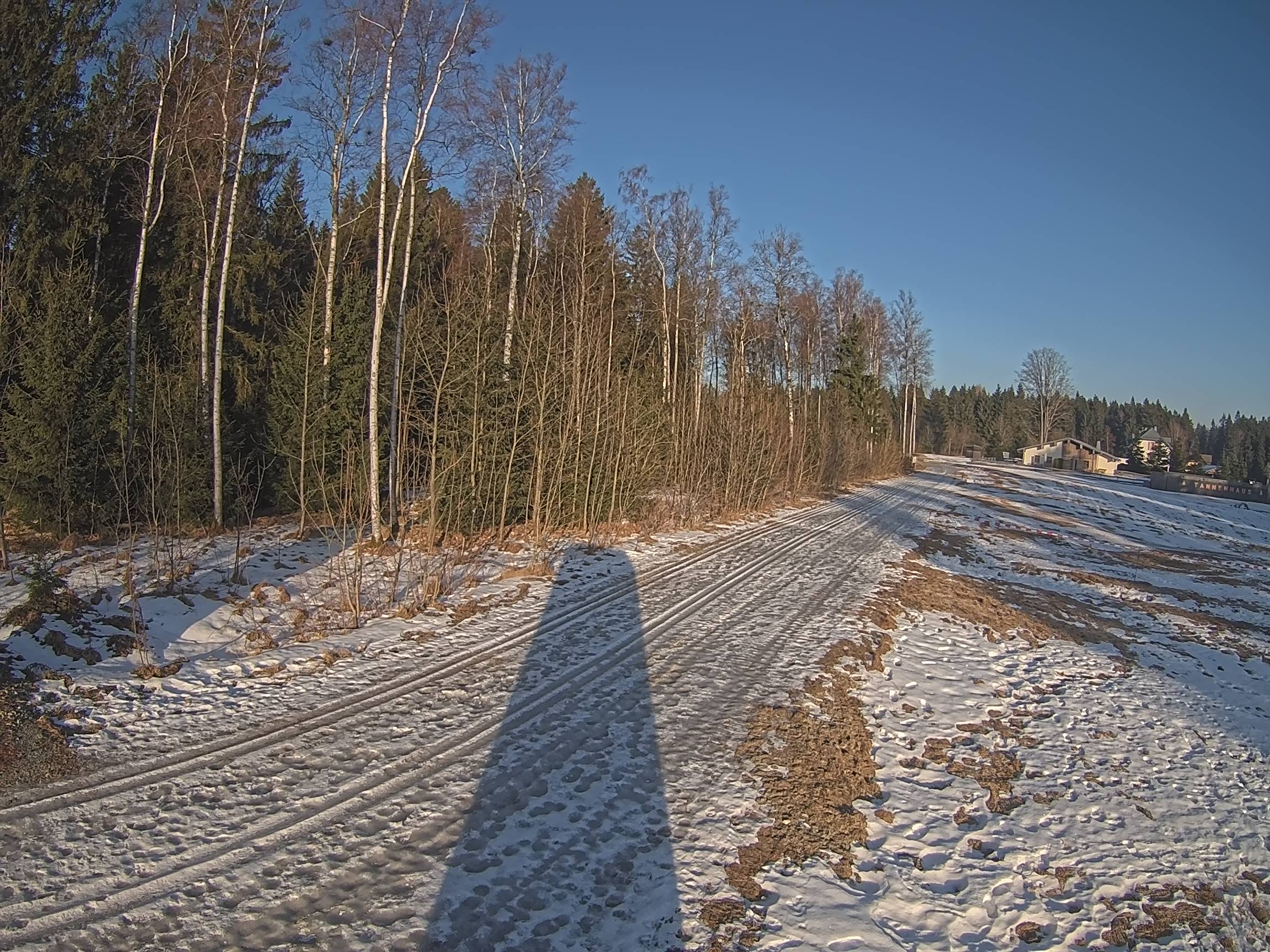 Webcam Schöneck Bogen