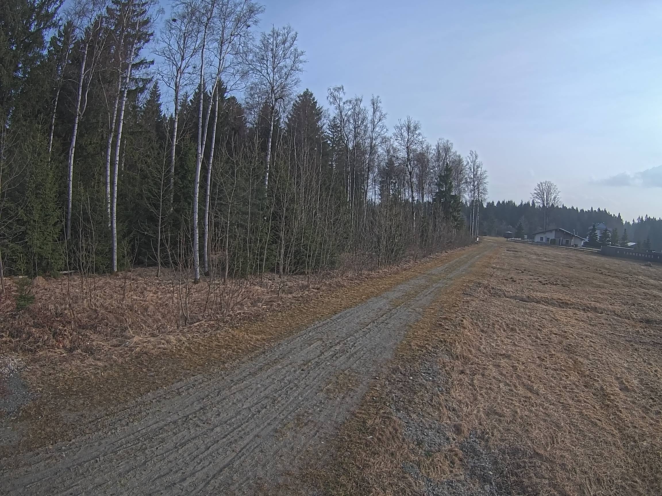 Webcam Schöneck Bogen