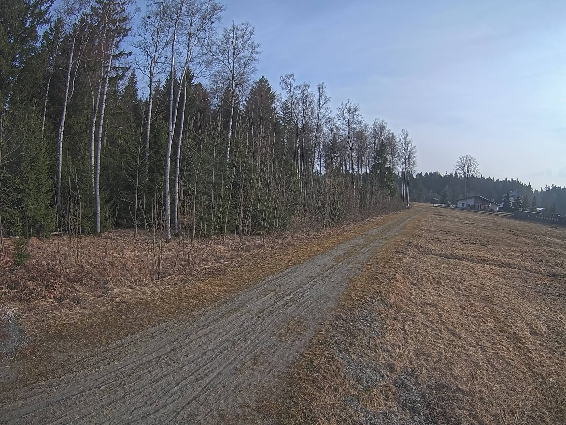 Webcam Schöneck Bogen