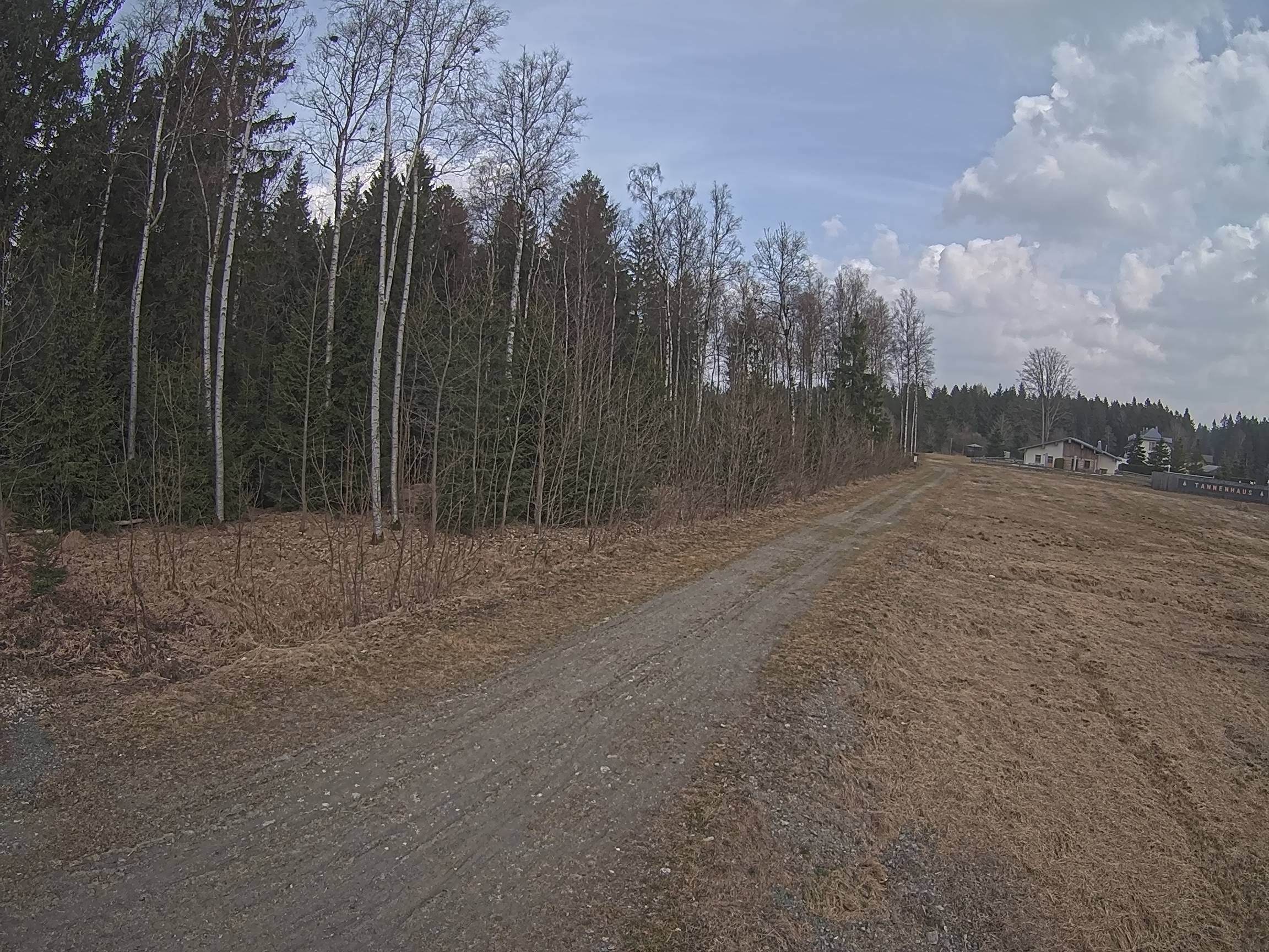 Webcam Schöneck Bogen