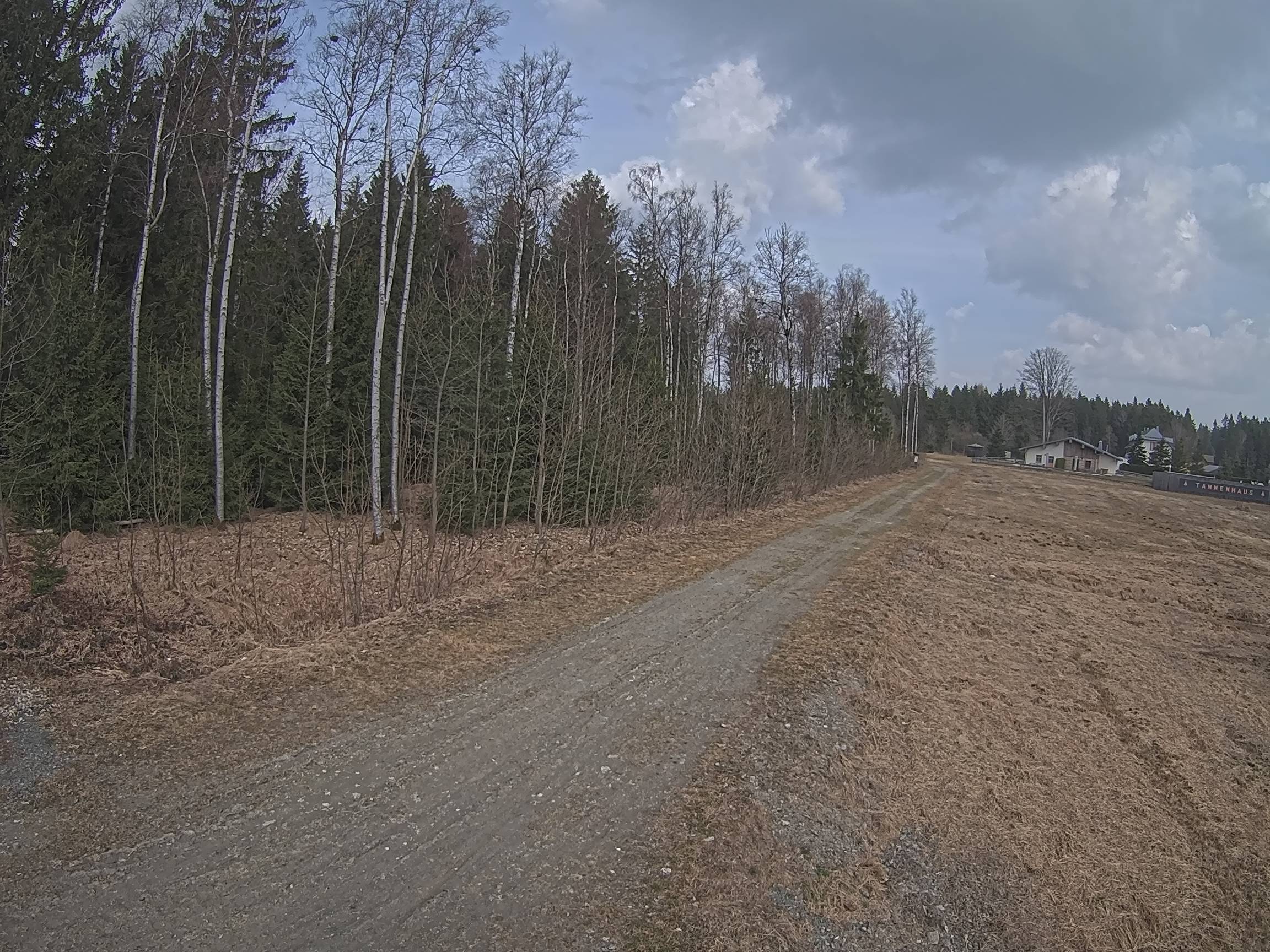 Webcam Schöneck Bogen