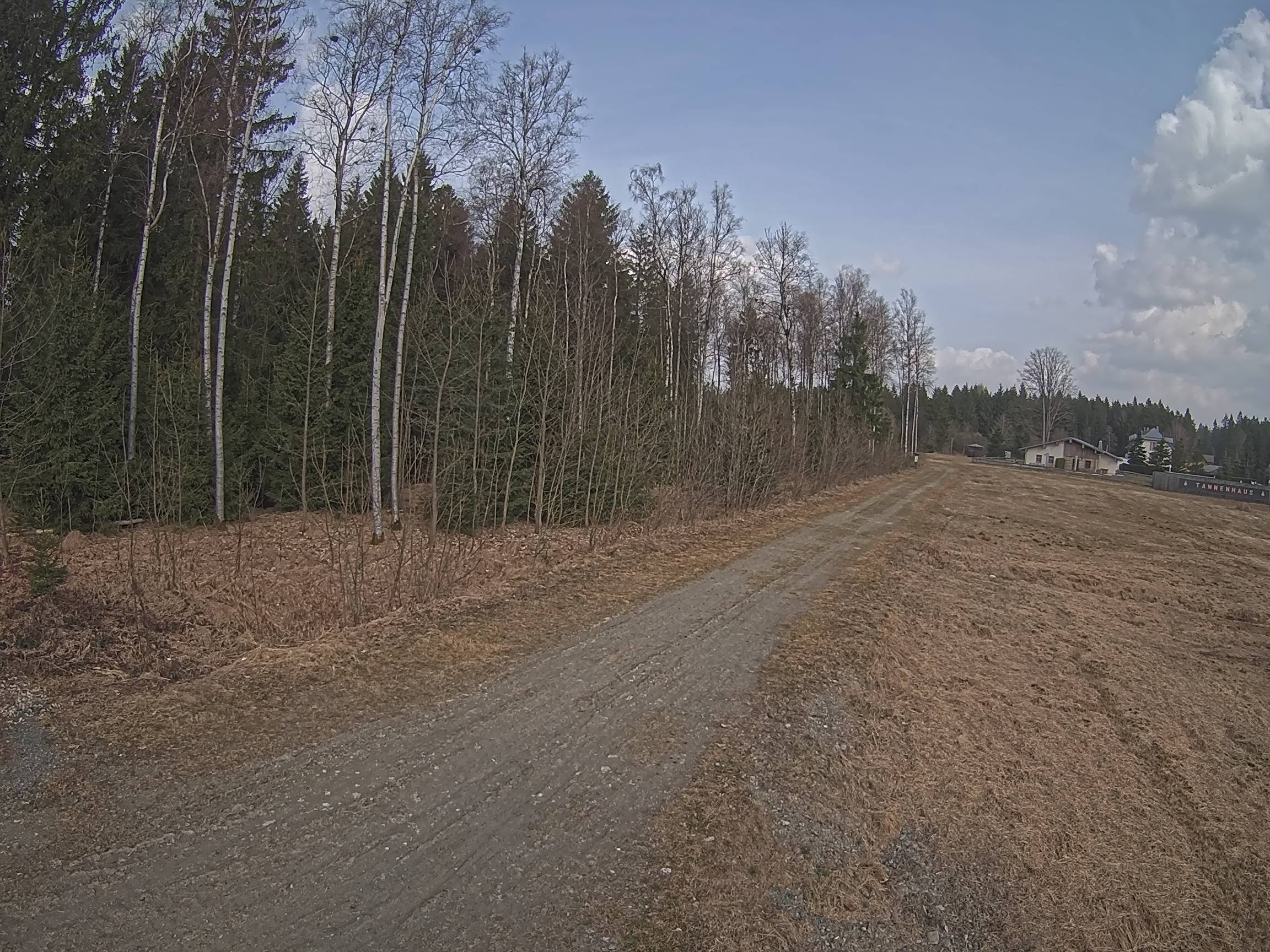 Webcam Schöneck Bogen