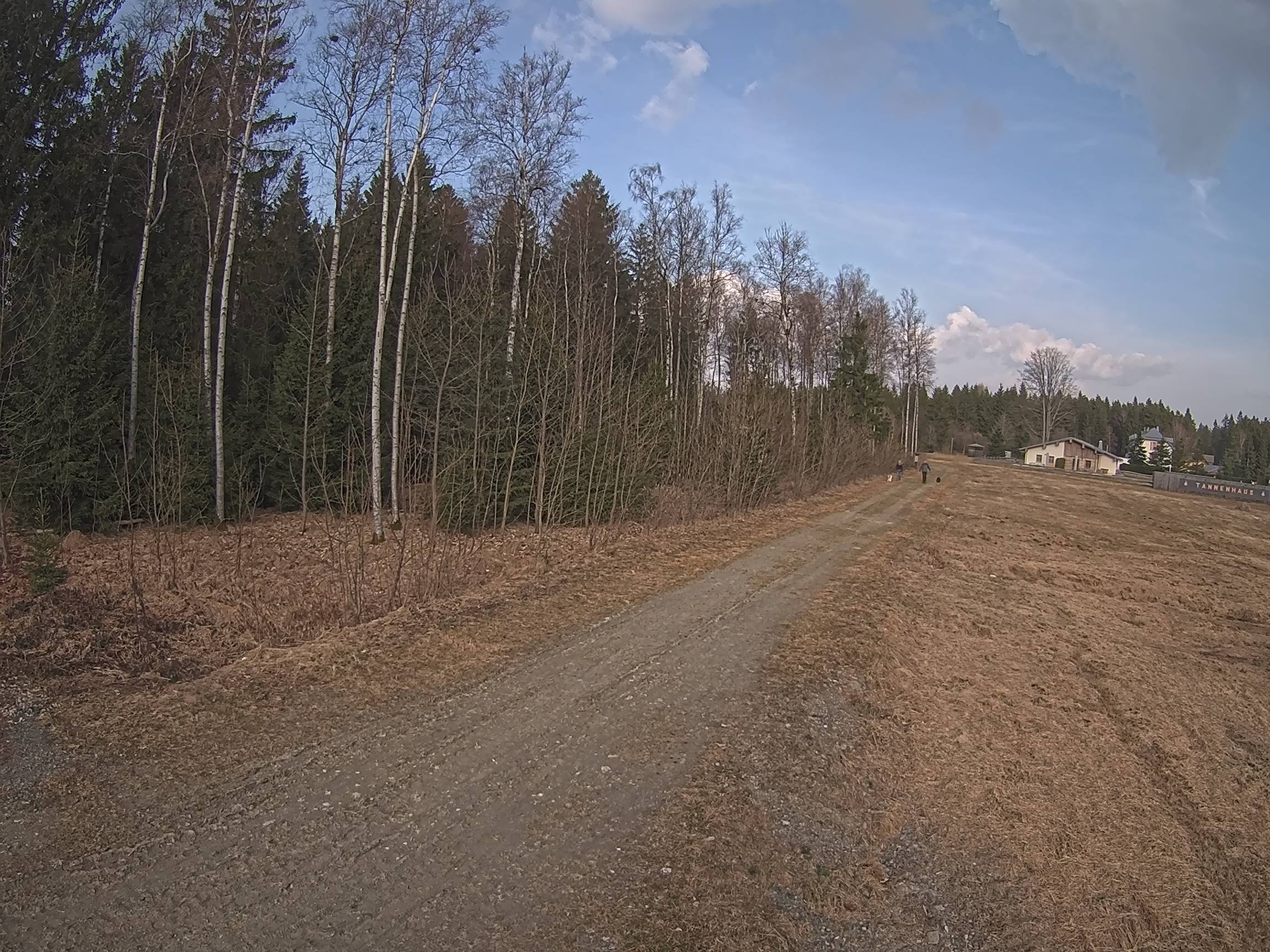 Webcam Schöneck Bogen