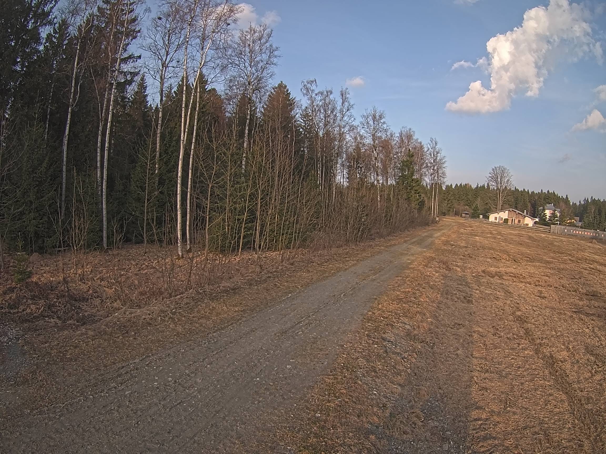 Webcam Schöneck Bogen