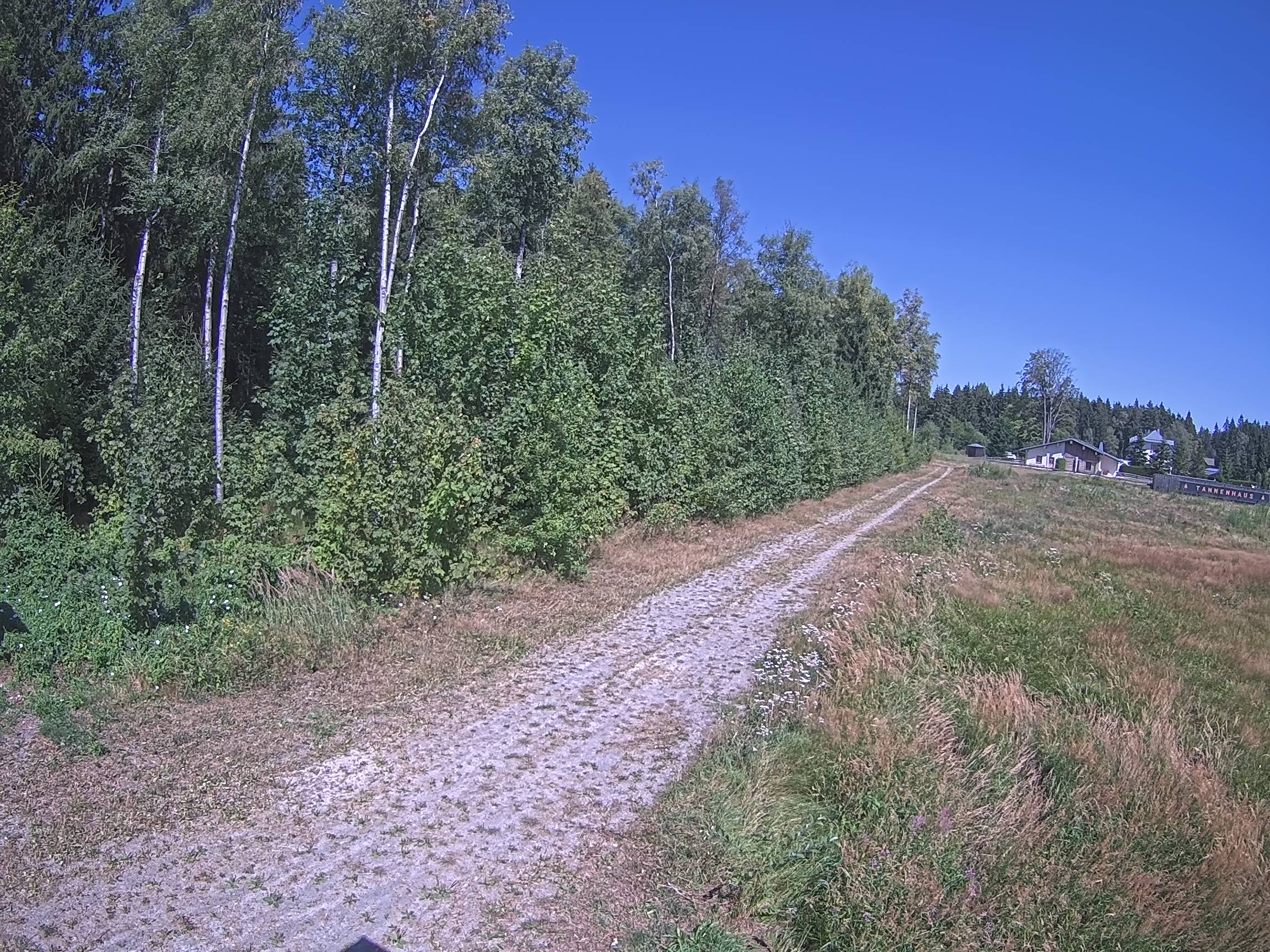 Webcam Schöneck Bogen